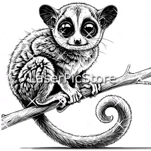 Bush Baby Vector File - SVG AI DXF - African Animal Svg - Nagapie Laser ...