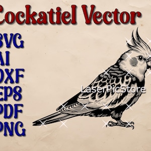 Fichier vectoriel calopsitte - SVG AI DXF et plus - svg animal australien - vecteur oiseau détaillé