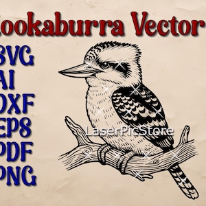 Kookaburra Vector File - SVG AI DXF and more - Australian Animal svg - Kookaburra Print - Australian Bird svg