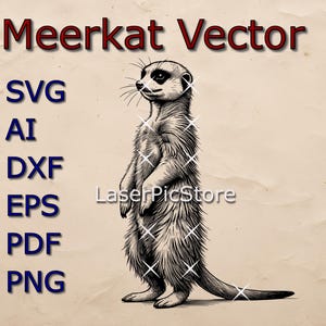 Könnte beinhalten: Schwarz-weiß-Linienzeichnung einer Erdmännchen, die auf ihren Hinterbeinen steht. Das Erdmännchen schaut nach links. Der Text "Meerkat Vector" befindet sich oben im Bild. Der Text "SVG, AI, DXF, EPS, PDF, PNG" befindet sich auf der linken Seite des Bildes.