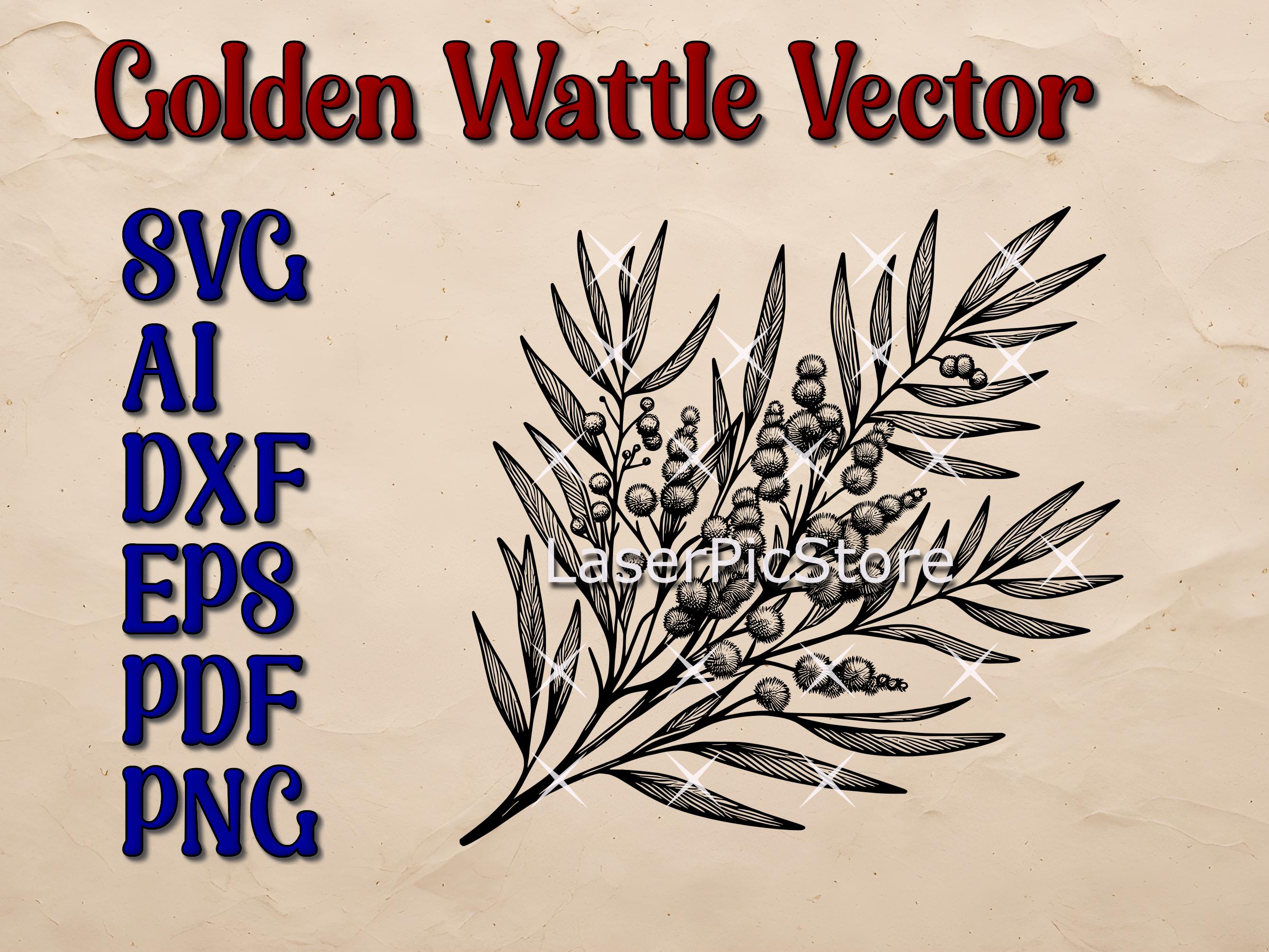 Archivo vectorial de acacia dorada - SVG AI DXF - Acacia australiana (SVG) - Flora nativa australiana