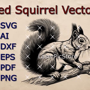 May include: Black and white vector illustration of a red squirrel sitting on a branch. The squirrel is facing the right side of the image and has a bushy tail. The image is available in SVG, AI, DXF, EPS, PDF, and PNG formats.