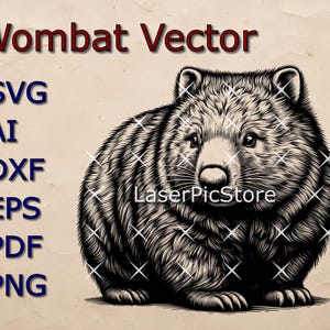 Op de afbeelding: Zwart-witte lijntekening van een wombat. De wombat zit op zijn achterpoten met zijn hoofd lichtjes naar de zijkant gekanteld. De illustratie is in vintage stijl en heeft een gedetailleerde, textuurrijke uitstraling.