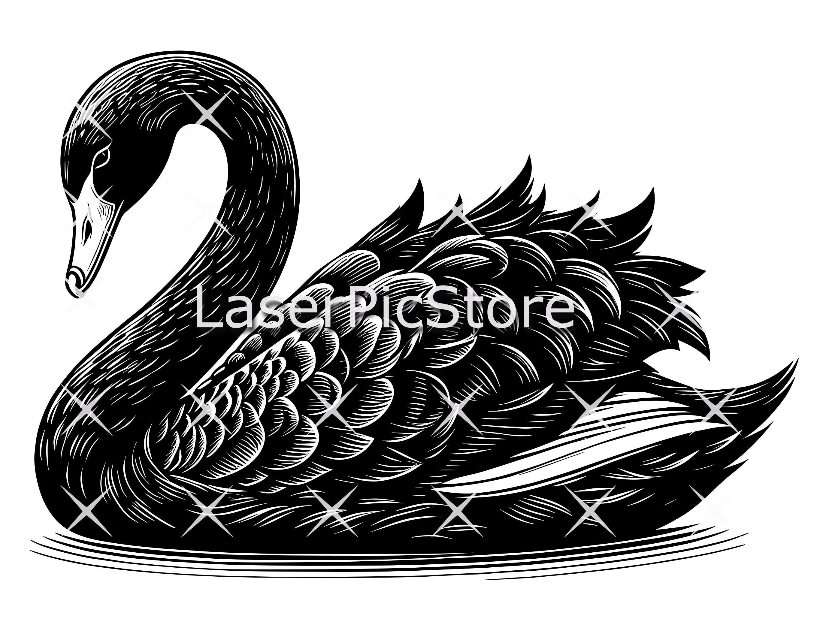 Black Swan Vector File - SVG AI DXF and More - Australian Bird Svg - Etsy