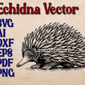 May include: Black and white vector illustration of an echidna, a spiny anteater native to Australia and New Guinea. The illustration is in a vintage style and features intricate details of the echidna's fur and claws.