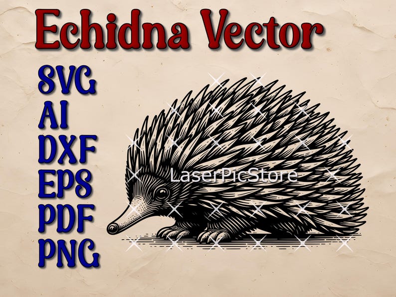 Echidna Vector File - SVG AI DXF - Australian Animal Svg - Laser Files ...