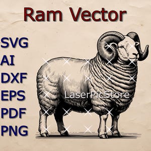 Può includere: Illustrazione in bianco e nero di un ariete con grandi corna ricciute. L'immagine è etichettata "Ram Vector" e include i tipi di file SVG, AI, DXF, EPS, PDF e PNG.