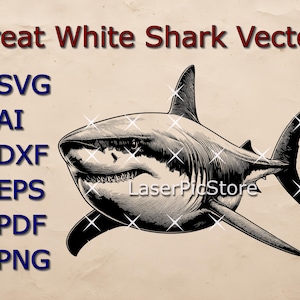 Great White Shark Vector File - SVG AI DXF and more - Ocean Animal svg - Sea Creature Engraving File - Ocean Predator