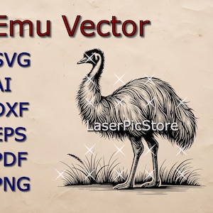 Emu Vector File - SVG AI DXF and more - Australian Animal svg - Australian Bird