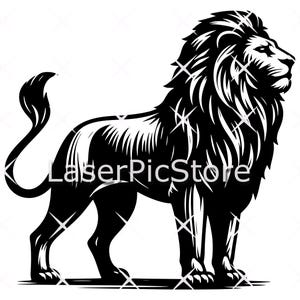 May include: Black and white illustration of a lion standing with its head turned to the side. The lion has a thick mane and a long tail.