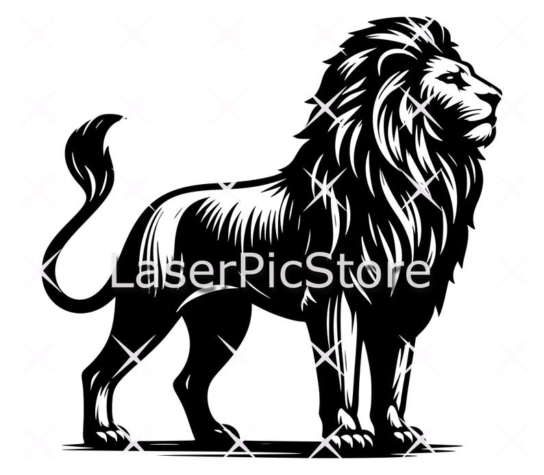 May include: Black and white illustration of a lion standing with its head turned to the side. The lion has a thick mane and a long tail.
