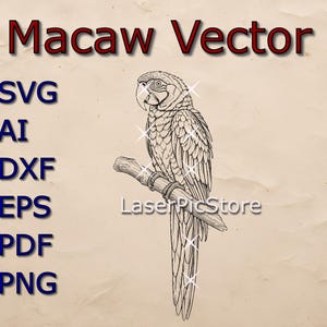 May include: A detailed black and white vector illustration of a macaw perched on a branch. The image includes the text "Macaw Vector" in red and file type abbreviations: SVG, AI, DXF, EPS, PDF, and PNG.