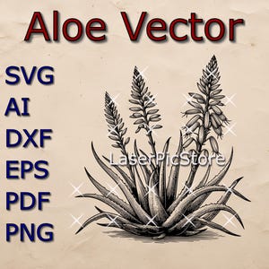 Archivo vectorial de aloe - SVG AI DXF - Aloe vera en flor svg - Vector de planta detallado