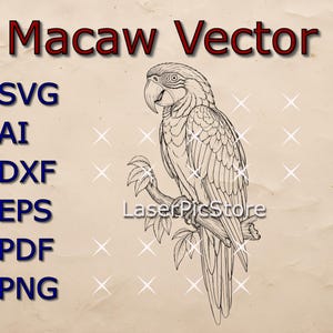 May include: A detailed black and white vector illustration of a macaw perched on a branch. The image includes the text "Macaw Vector" in red and file type options: SVG, AI, DXF, EPS, PDF, and PNG.