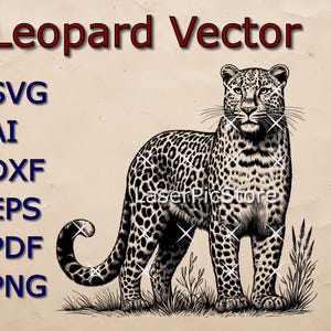 Puede incluir: Ilustración vectorial en blanco y negro de un leopardo de pie con la cola enroscada detrás de las patas. La imagen está etiquetada como "Leopard Vector" y enumera los formatos de archivo disponibles para descargar: SVG, AI, DXF, EPS, PDF y PNG.