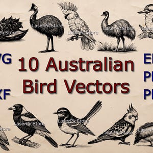 Fichiers vectoriels d'oiseaux australiens - SVG AI DXF et plus - 10 oiseaux