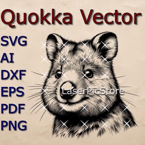 Detailed Vector of a Cute Quokka Head - SVG AI DXF + more - Australian Animal svg - Quokka Laser file - Quokka Print