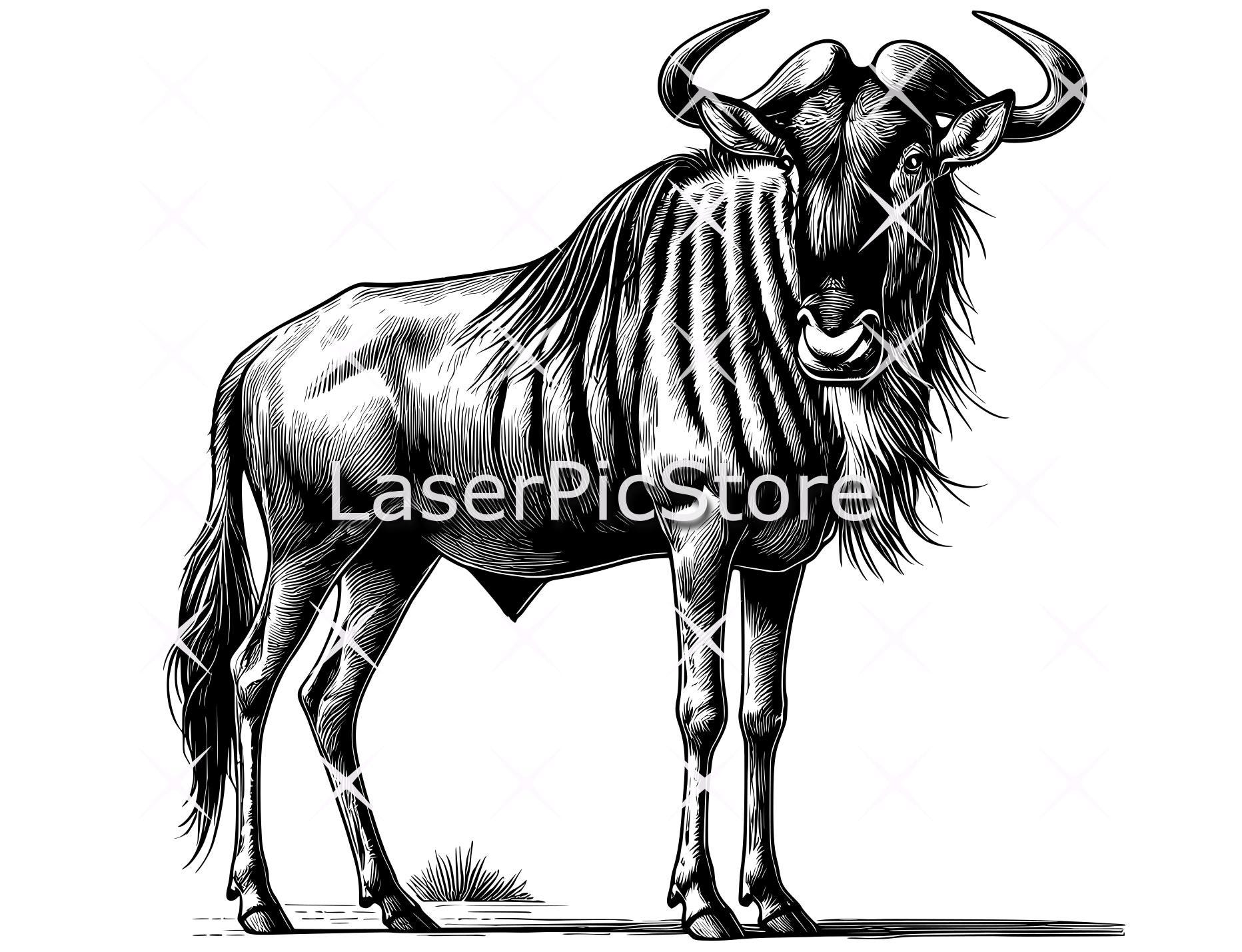 African Animal Vector Files - SVG AI DXF and More - 10 Animals - Set 2 ...