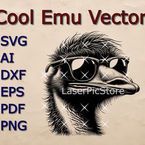 Detaillierter Vektor eines Emus mit Sonnenbrille - SVG AI DXF und mehr - Lustiges australisches Tier svg - Emu Laser-Datei - Emu Druck