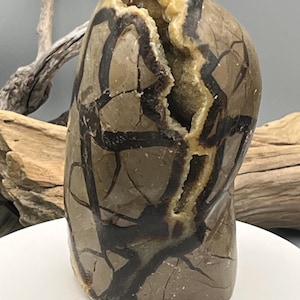 Septarian Freeform