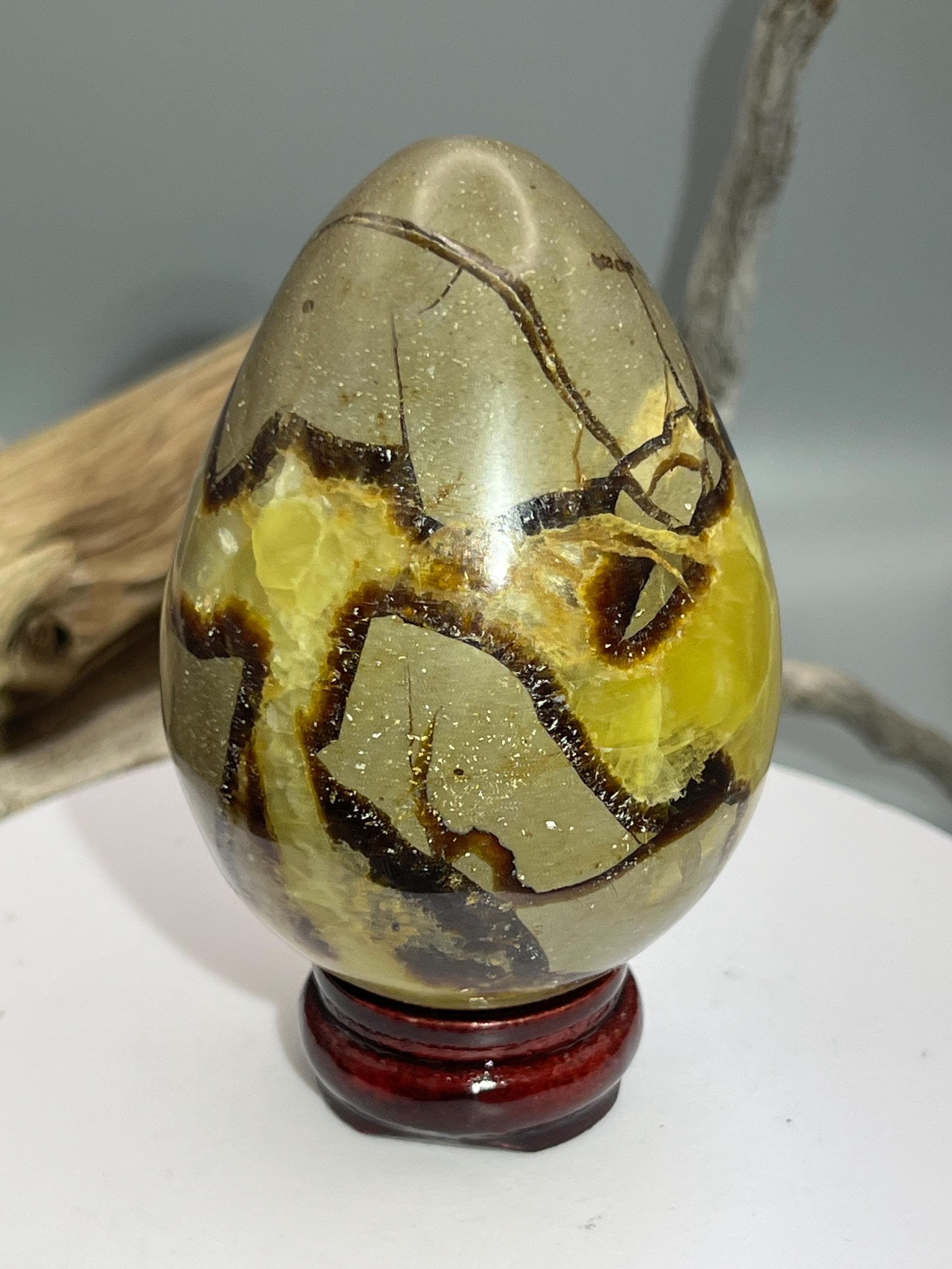 Septarian Egg - Etsy