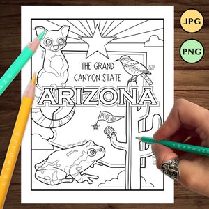 ARIZONA Coloring Page with state facts - Printable United States of America Outline State Map