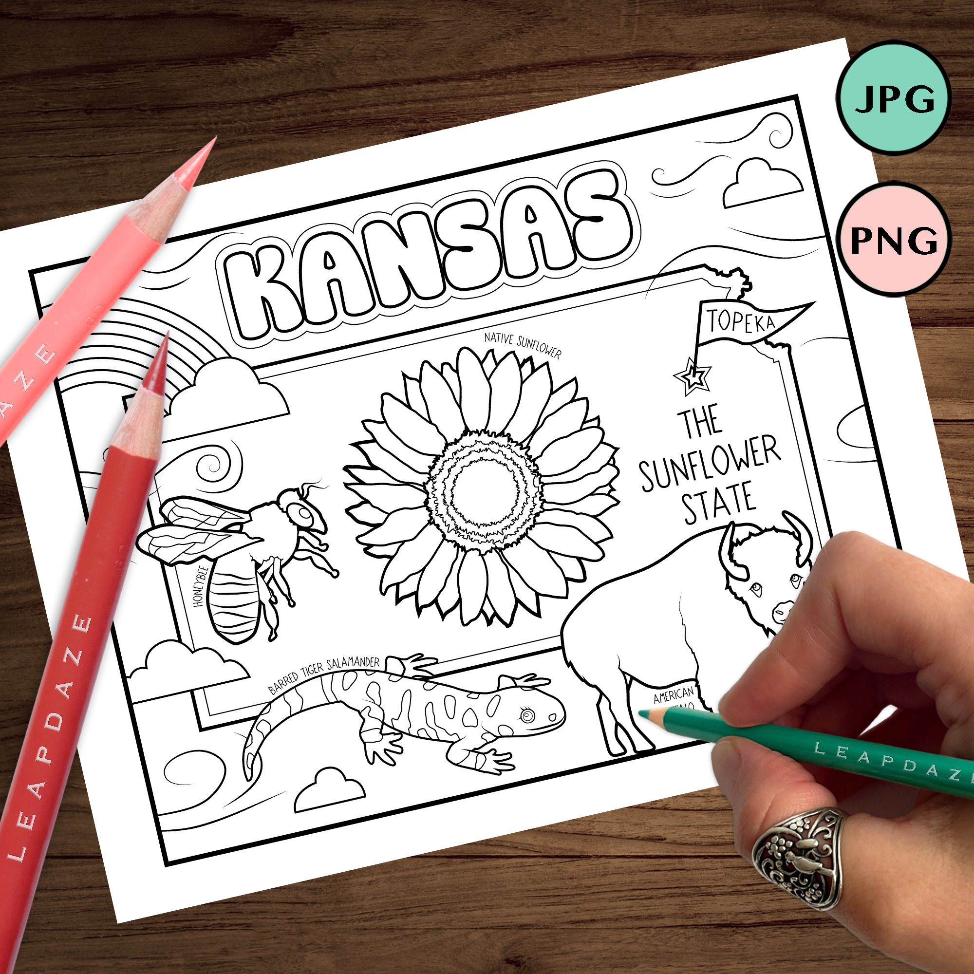KANSAS Coloring Page With State Facts Printable United States of