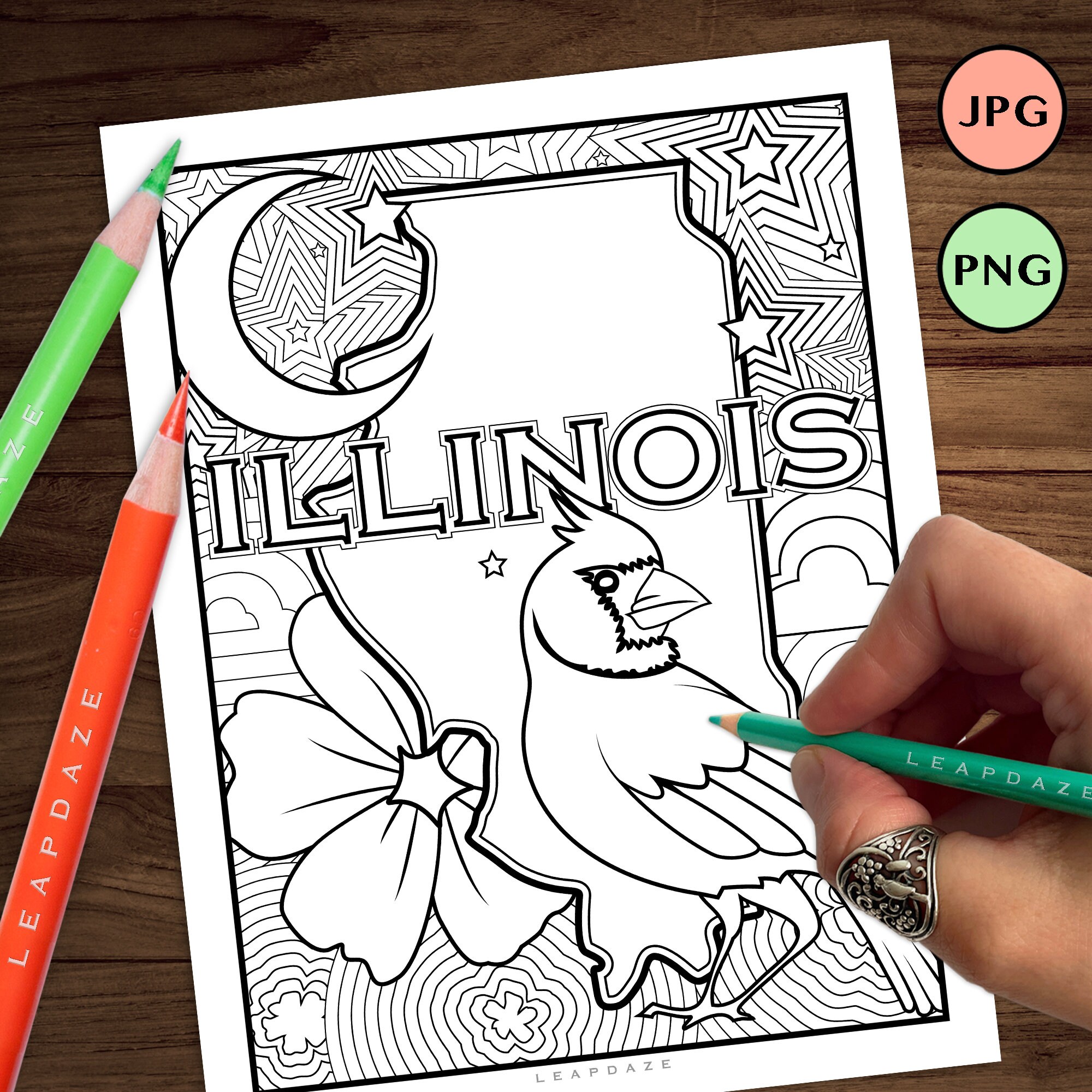 ILLINOIS Coloring Page With State Flower and Bird United States of