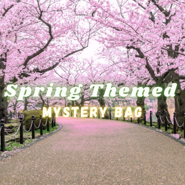 Spring Themed Mystery Bag, Cottagecore Decor, Kawaii Mystery Box