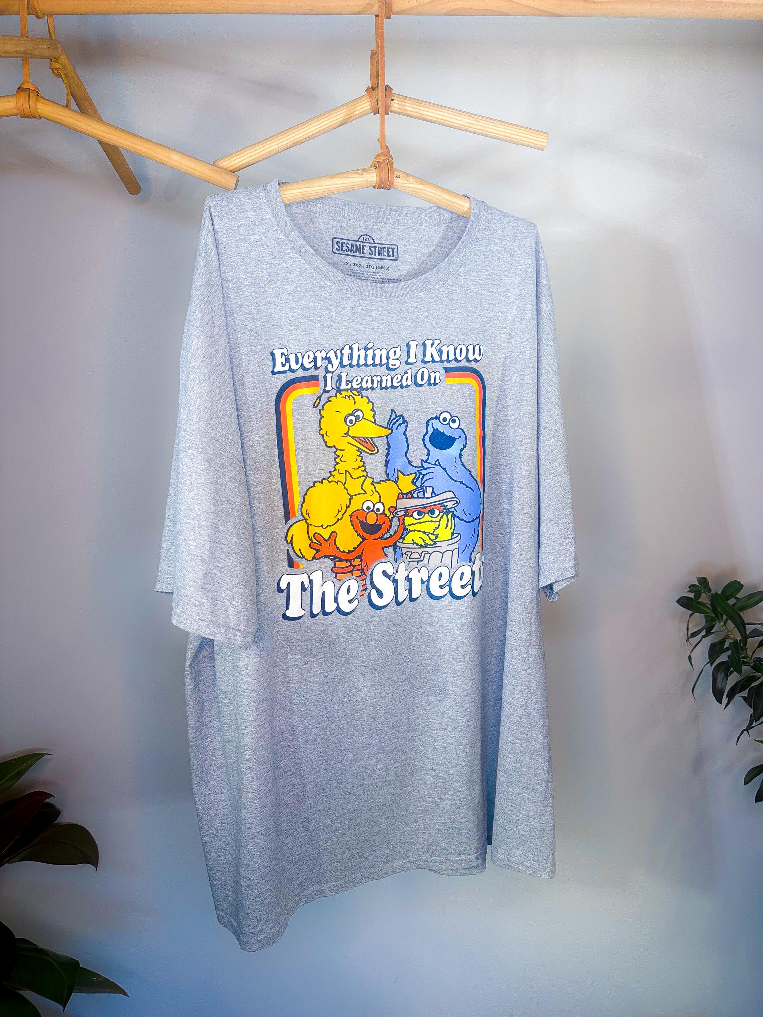 Vintage Sesame Street Graphic T-shirt, Heather Grey 3X - Etsy