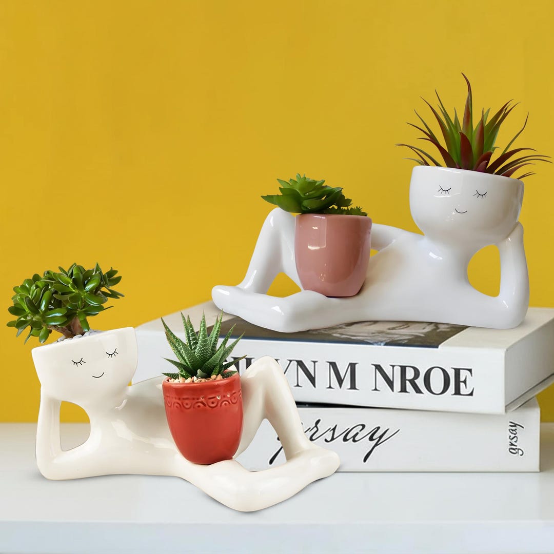 Cute Plant Pot, Modern Planter Funny Flower Pot, Succulent Holder ...