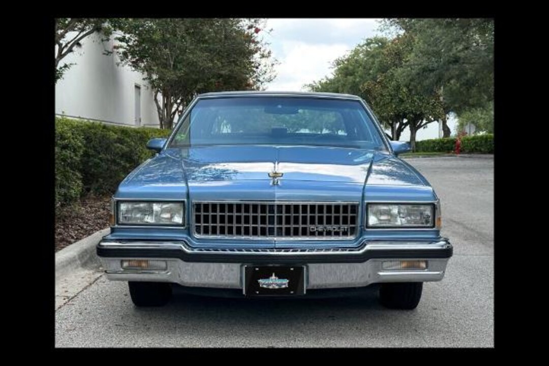 BCM Box Chevy Movement Capice Holographic Logo License Plate - Etsy