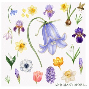 35 Frühlingsblumen Top Qualität Clipart Echt Aquarell Goldene Blume Print Professionelle PNGs Goodnotes Floral Illustration Kommerzielle Lizenz