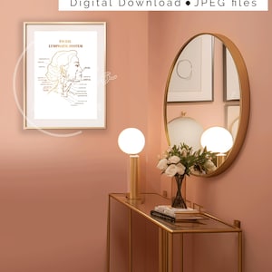 Puede incluir: Una impresi&oacute;n enmarcada en dorado con fondo blanco y un contorno dorado de un rostro de mujer con el texto "Facial Lymphatic System" sobre la imagen. La impresi&oacute;n est&aacute; colgada en una pared rosa con un espejo dorado y una mesa dorada con un jarr&oacute;n de flores blancas y dos l&aacute;mparas doradas.