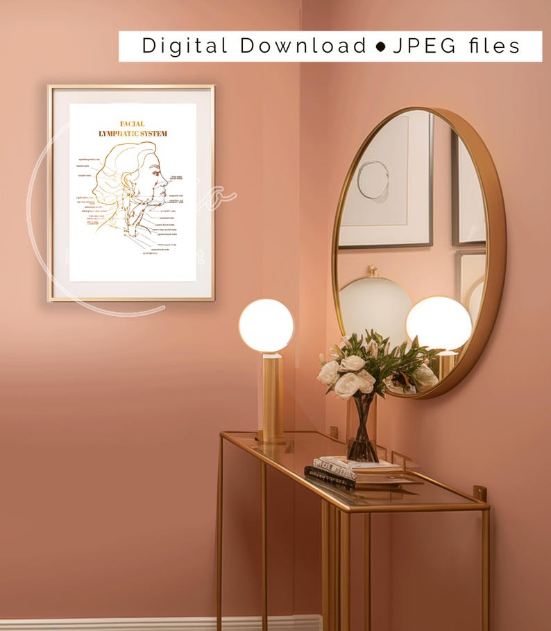 Puede incluir: Una impresi&oacute;n enmarcada en dorado con fondo blanco y un contorno dorado de un rostro de mujer con el texto "Facial Lymphatic System" sobre la imagen. La impresi&oacute;n est&aacute; colgada en una pared rosa con un espejo dorado y una mesa dorada con un jarr&oacute;n de flores blancas y dos l&aacute;mparas doradas.