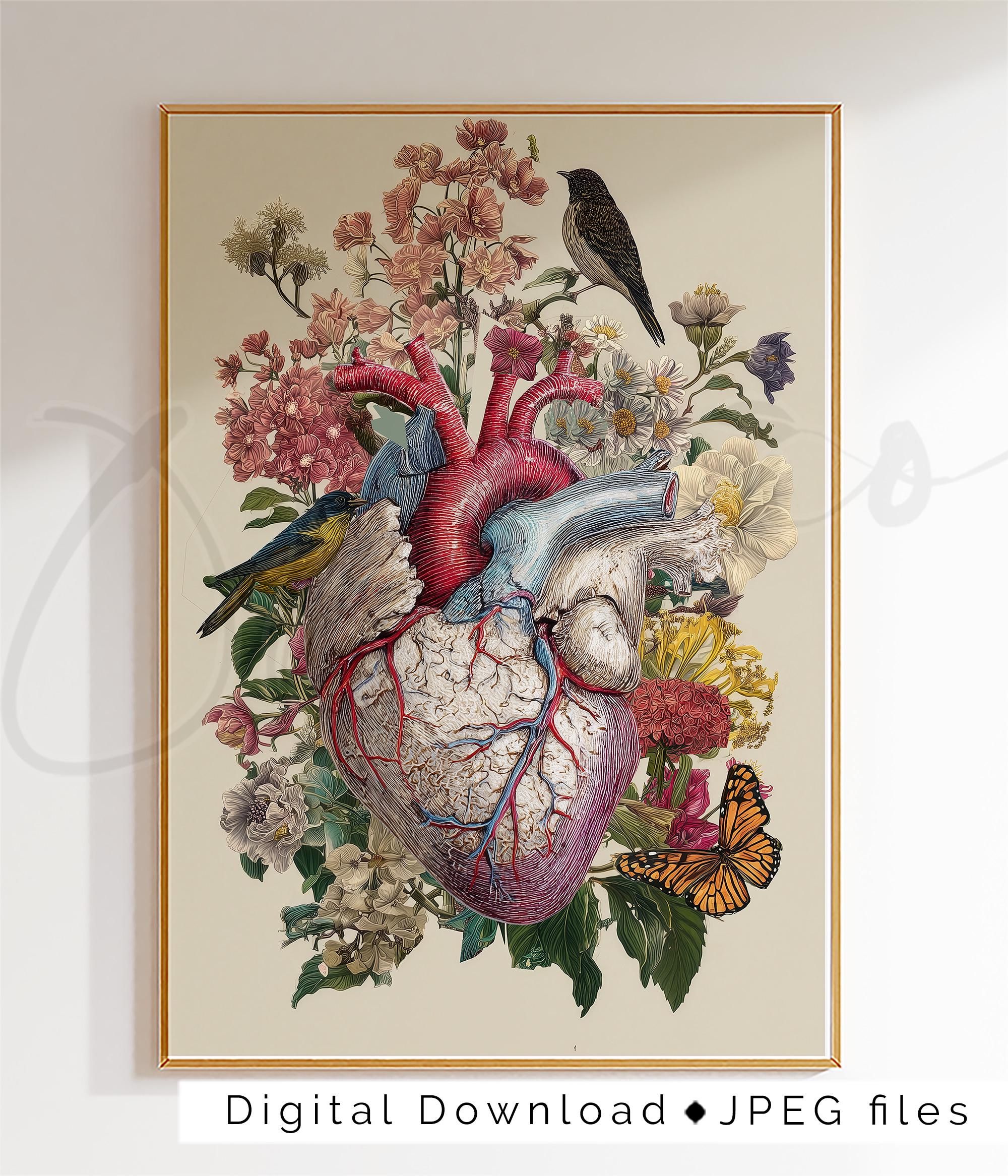 Botanical Heart Anatomy Art Print, Human Heart Illustration, Medical ...