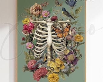 Arte para impressão com anatomia botânica da caixa torácica, ilustração esquelética vintage, arte de parede para consultório médico, download digital.