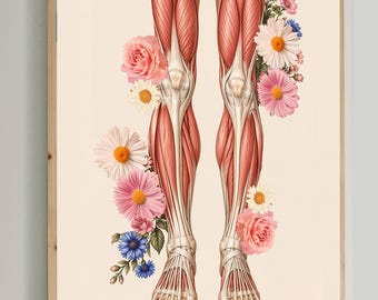 Leg Anatomy Art, Leg Muscles Anatomy Poster, Physical Therapy Decor, Physiotherapy Wall Art, Massage Therapist Gift, Medical Anatomy Print