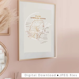 High-resolution lymphatic system printable for cosmetic injectors and wellness practitioners.