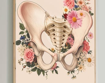 Pelvis Anatomy Art, Pelvic Health Wall Art, Physical Therapy Office Decor, Hip Anatomy Poster, Orthopedic Clinic Art, Medical Print
