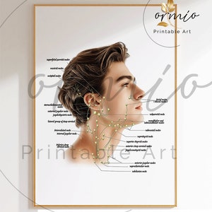 Può includere: Un'illustrazione medica che mostra i linfonodi della testa e del collo di una persona. L'illustrazione mostra la posizione dei linfonodi parotidei superficiali, dei linfonodi mastoidei, dei linfonodi occipitali, dei linfonodi sternocleidomastoidei, dei linfonodi giugulari esterni, dei linfonodi giugulodigastrici, del gruppo laterale dei linfonodi cervicali profondi, dei linfonodi interclavicolare, dei linfonodi giugulari interni, dei linfonodi sopraclavicolare, dei linfonodi sottomentali, dei linfonodi sottomandibolari, dei linfonodi sottomascellari, dei linfonodi cervicali superficiali, dei linfonodi tiroidei superiori, dei linfonodi cervicali profondi anteriori, dei linfonodi giuguloomohioidei, dei linfonodi giugulari anteriori, dei linfonodi sopraclavicolare, dei linfonodi sottoclavicolare e dei linfonodi facciali (linfonodi buccali).