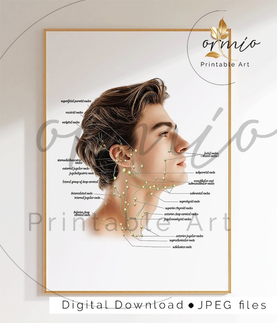 Face Lymphatic System Print: Esthetician Gift, Massage Art (Digital Download)