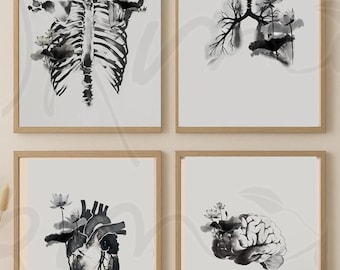 Anatomy Wall Art Set of 4, Zen Medical Prints, Japanese Ink Anatomy, Therapist Office Decor, Acupuncture Clinic Wall Art