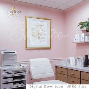 Puede incluir: Una impresi&oacute;n enmarcada en dorado con un diagrama del sistema linf&aacute;tico facial. La impresi&oacute;n est&aacute; colgada en una pared rosa en una habitaci&oacute;n con una silla blanca y un armario de madera. El texto en la impresi&oacute;n dice "Facial Lymphatic System".