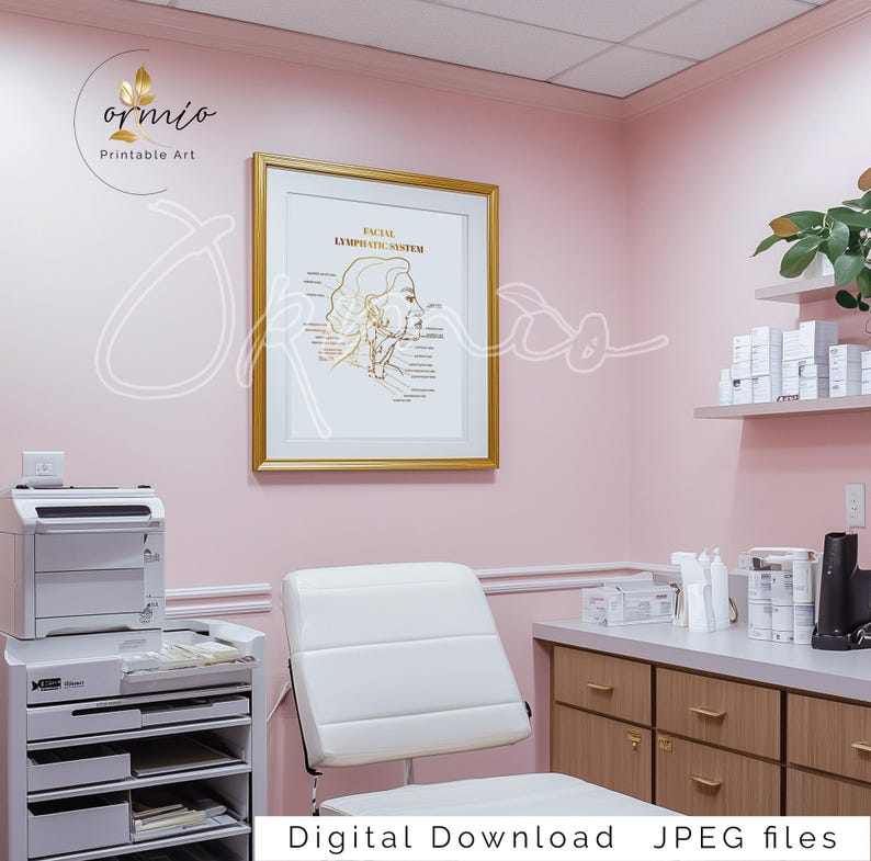 Puede incluir: Una impresi&oacute;n enmarcada en dorado con un diagrama del sistema linf&aacute;tico facial. La impresi&oacute;n est&aacute; colgada en una pared rosa en una habitaci&oacute;n con una silla blanca y un armario de madera. El texto en la impresi&oacute;n dice "Facial Lymphatic System".