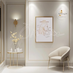 Gold anatomy poster of the facial lymphatic system, perfect for client education and aesthetic decor