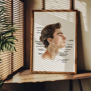 May include: A framed illustration of a man's head and neck with labelled anatomical points. The illustration is in black and white with green dots marking the points. The background is white with a light shadow.
