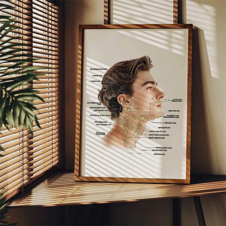May include: A framed illustration of a man's head and neck with labelled anatomical points. The illustration is in black and white with green dots marking the points. The background is white with a light shadow.
