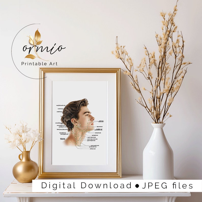 May include: Printable art print of a man's face with acupuncture points labelled. The print is framed in a gold frame and is sitting on a white shelf with a vase of dried flowers.