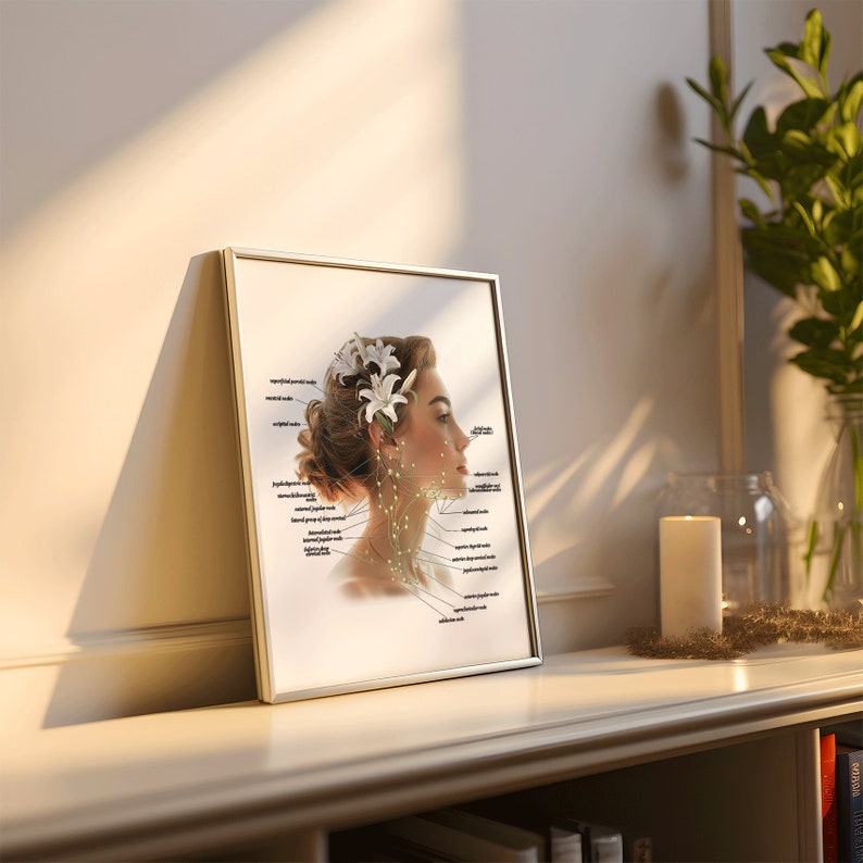 May include: A framed illustration of a woman's face and neck with labeled lymph nodes. The woman has a white flower in her hair and is looking to the right. The background is white.